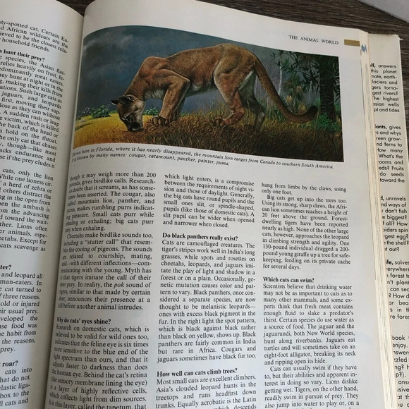 Readers Digest the  ABC’s of Nature - Picture 7 of 7